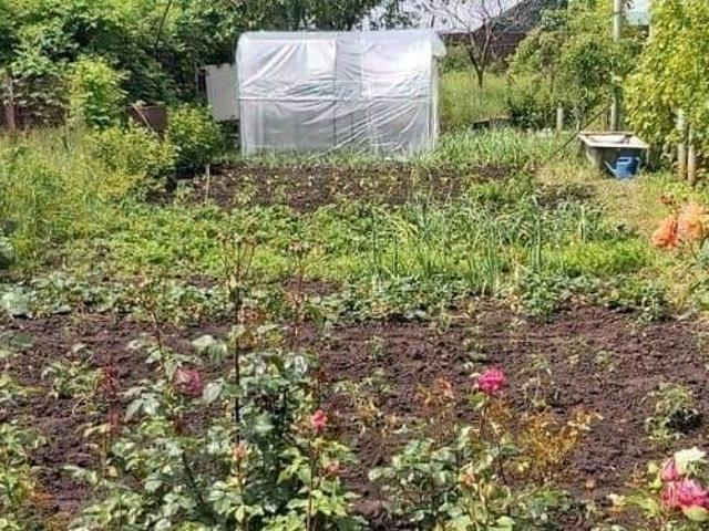 Дом продажа в Дружба Дп, Краснодарский Край