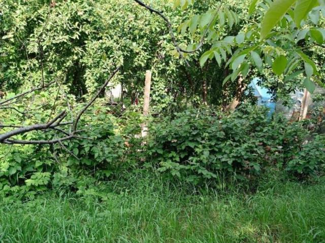Дом продажа в Дружба Дп, Краснодарский Край
