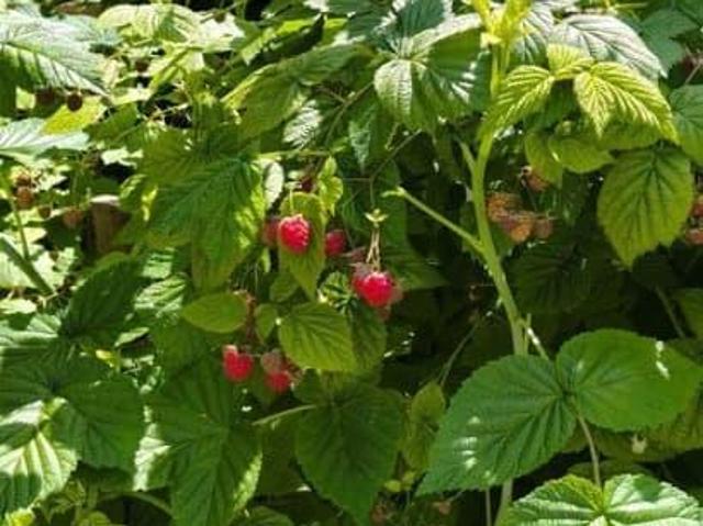 Дом продажа в Кумертау, Башкортостан Респ
