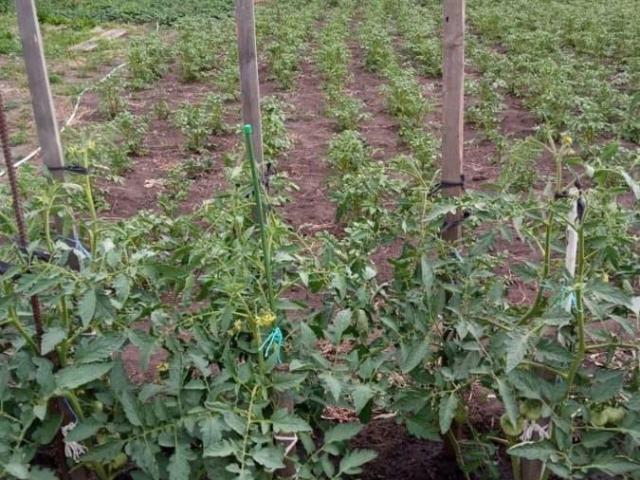 Дом продажа в Купинский Р-н, Новосибирская область