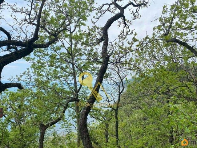 Дом продажа в Джубга, Краснодарский Край