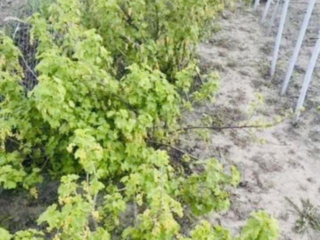 Дом продажа в Железнодорожный округ, Курская область