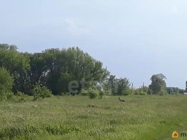 Дом продажа в Центральный округ, Курская область