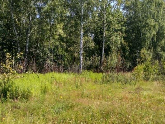 Дом продажа в Ладушкин, Калининградская область