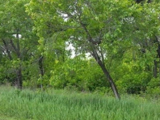 Дом продажа в Лесозаводск, Приморский Край