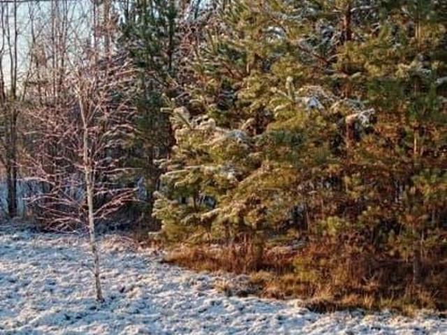 Дом продажа в Любань, Ленинградская область