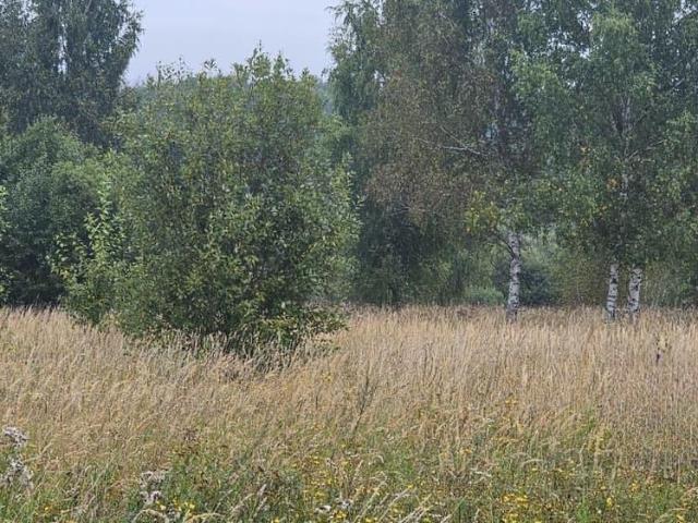 Дом продажа в Луховицы, муниципальный округ Луховицы