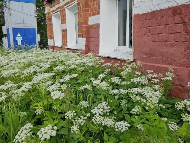 Дом продажа в Лукоянов, Тыва Республика