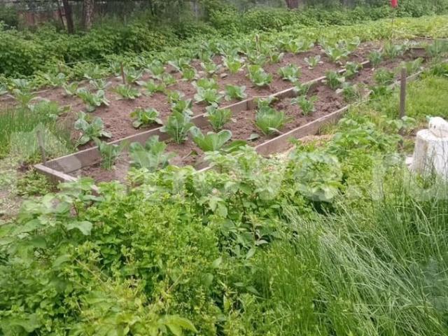 Дом продажа в Магадан
