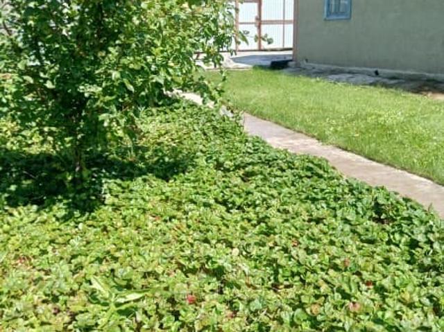 Дом продажа в Поселок Магнитный, Челябинская область