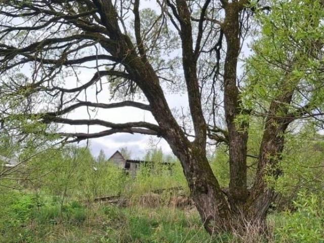 Дом продажа в Мaлая Вишера, Новгородская область
