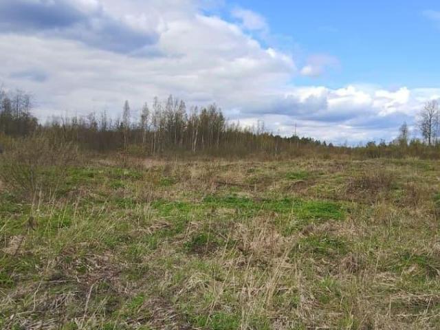 Дом продажа в Новгородская область