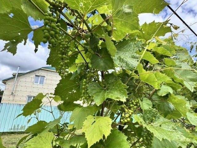 Дом продажа в Новые Лужки, Медынь