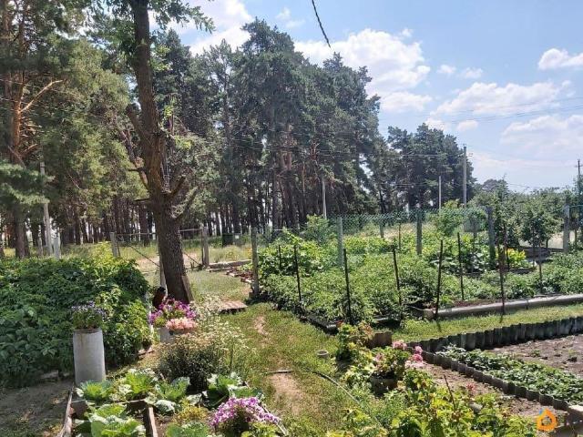 Дом продажа в Волгоградская Обл