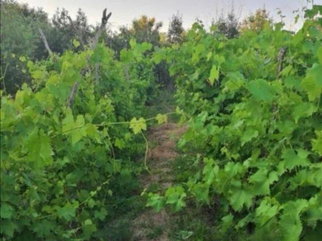 Дом продажа в Морозовский Р-н, Ростовская область