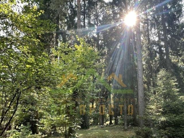 Дом продажа в Королев, Кабардино-Балкарская Республика