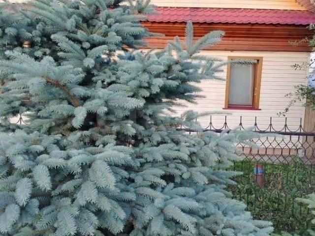 Дом продажа в Татарстан Республика