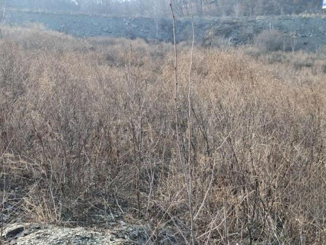 Дом продажа в Находка, Приморский Край