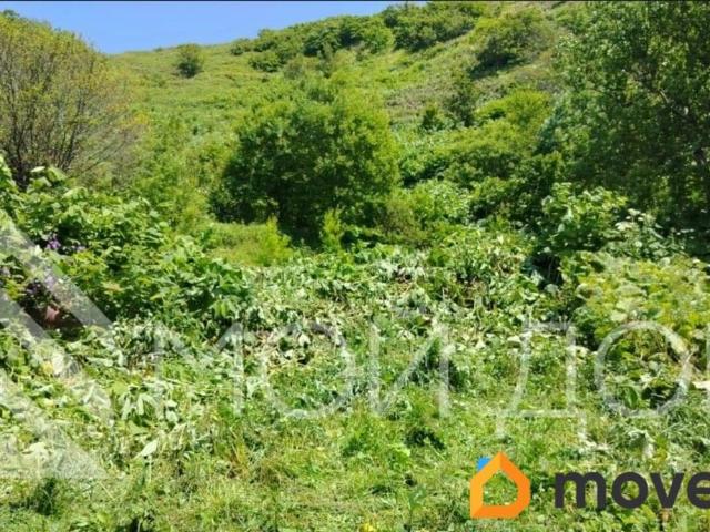 Дом продажа в Невельский Р-н, Сахалинская область