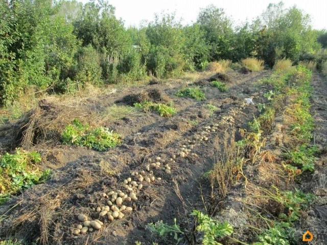 Дом продажа в Нижняя Салда, Свердловская область