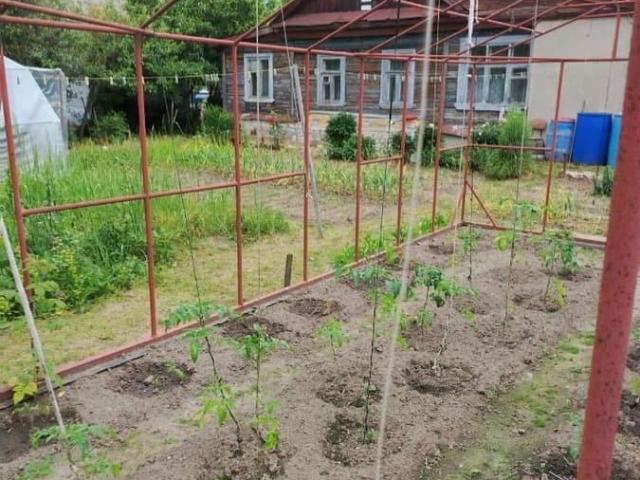 Дом продажа в Горький, Тыва Республика