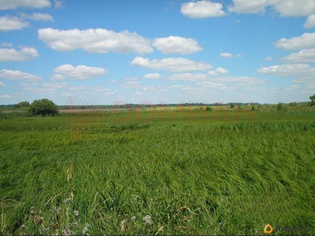 Дом продажа в Ростовская область