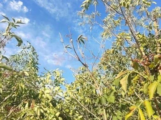 Дом продажа в Ростовская область