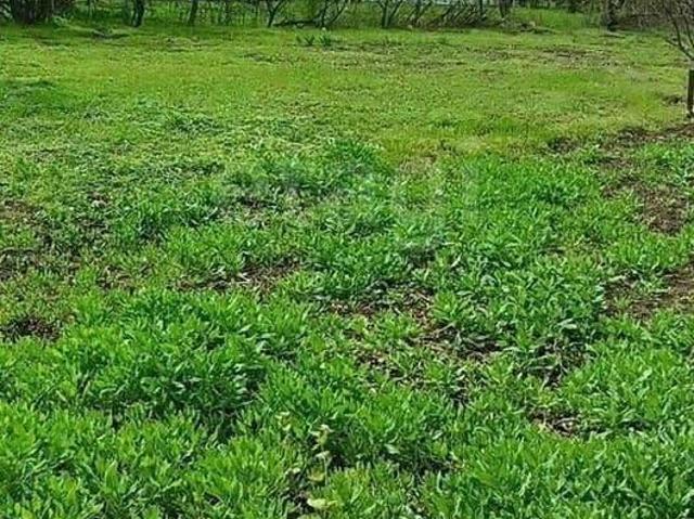 Дом продажа в Ростовская область