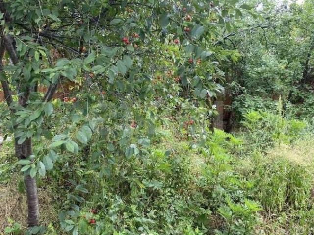 Дом продажа в Новороссийск, Краснодарский Край