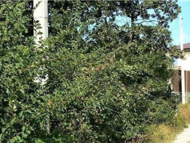 Дом продажа в Новороссийск, Краснодарский Край