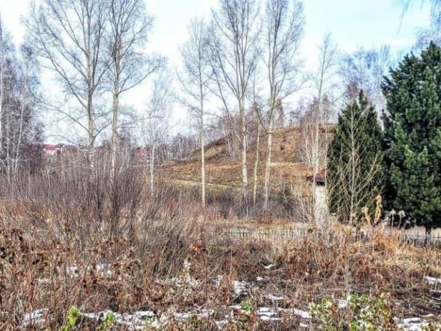 Дом продажа в Новосибирская область
