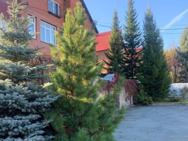 Дом продажа в Новосибирская область