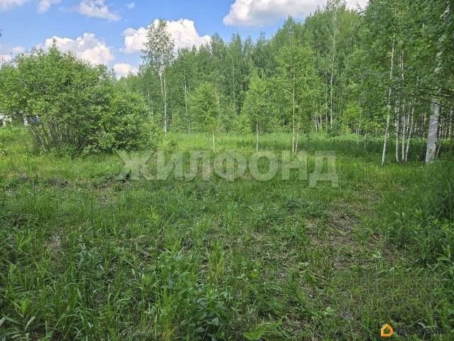 Дом продажа в Новосибирская область