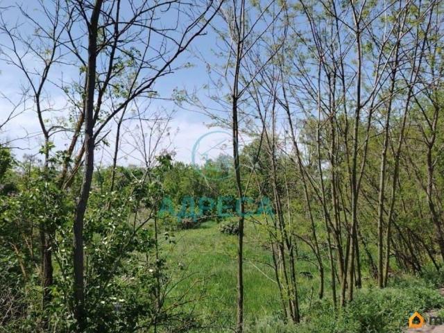 Дом продажа в Новый Оскол, Белгородская область