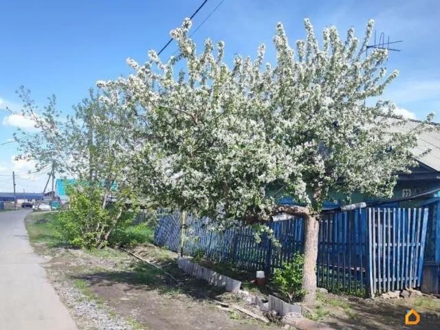 Дом продажа в Омская область