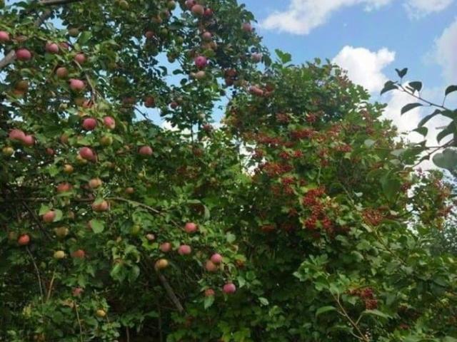 Дом продажа в Омская область