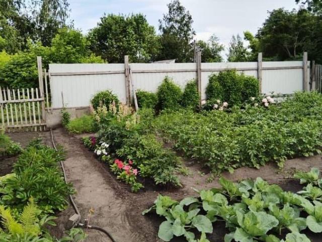Дом продажа в Центральный АО, Омская область