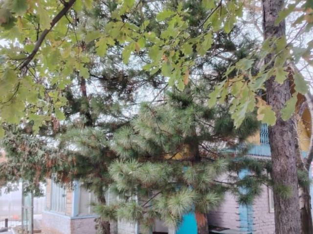 Дом продажа в Ленинский АО, Омская область