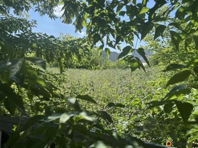 Дом продажа в Центральный АО, Омская область