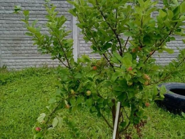 Дом продажа в Мотовилихинский район, Пермь