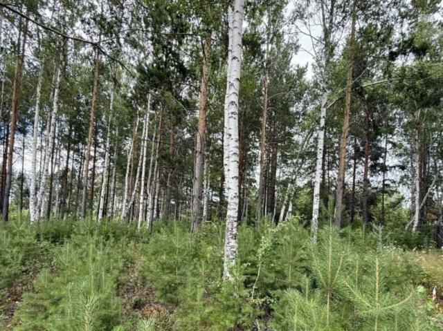 Дом продажа в Полевской, Свердловская область