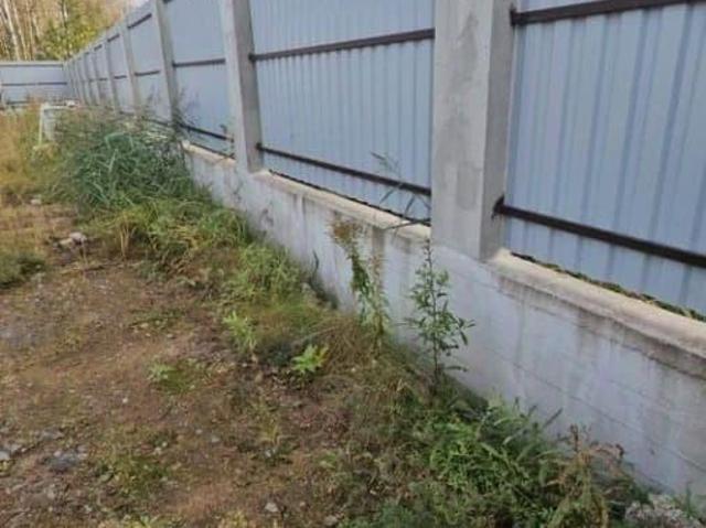 Дом продажа в Белоостров