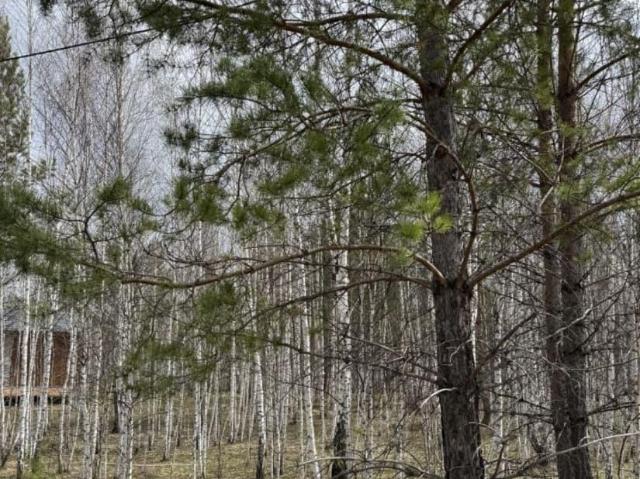Дом продажа в Челябинская область