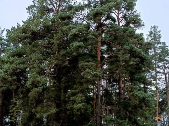 Дом продажа в Тульская область