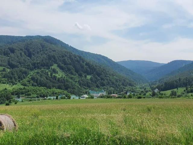 Дом продажа в Алтайский Край