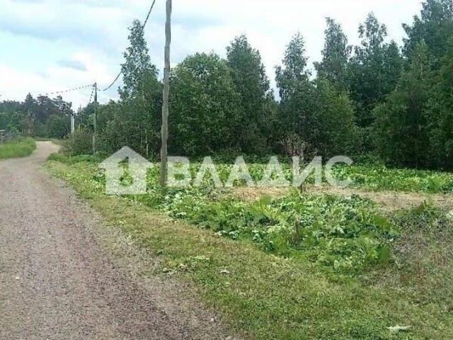Дом продажа в Ленинградская область