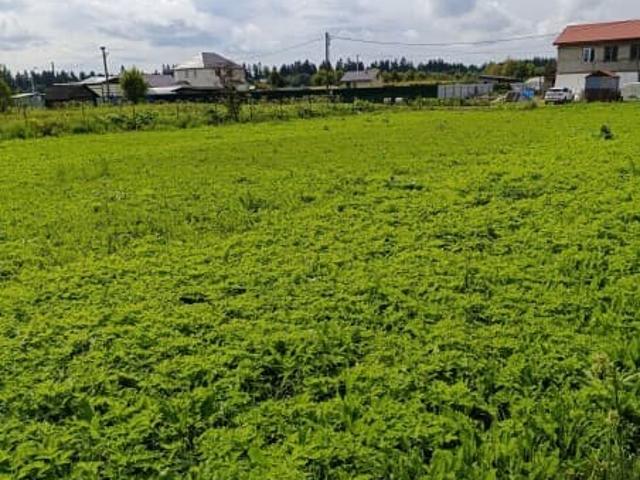 Дом продажа в Ленинградская область