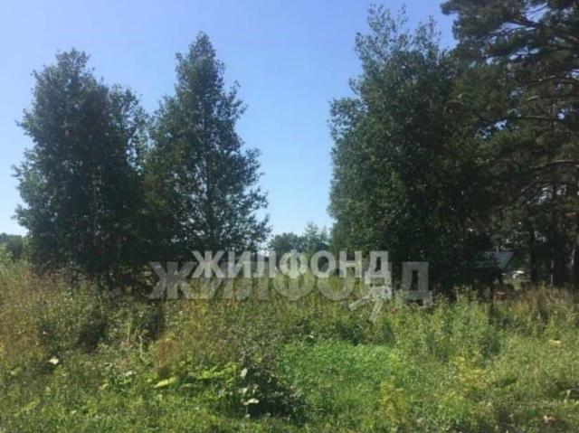 Дом продажа в Новосибирская область