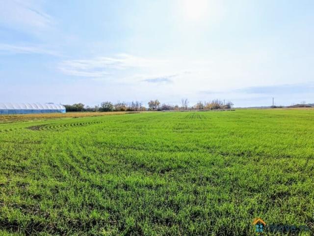 Дом продажа в Краснодарский Край