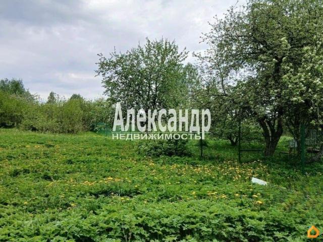 Дом продажа в Ленинградская область